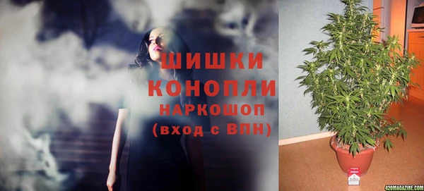 соль ск Липки