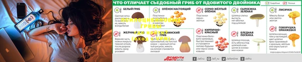Альфа ПВП Лихославль