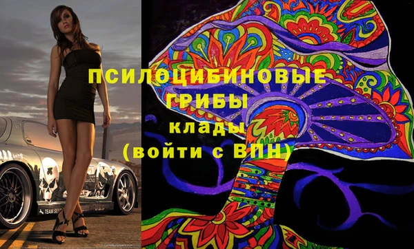 соль ск Липки