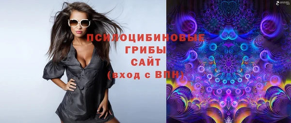 соль ск Липки