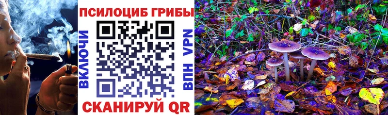 Псилоцибиновые грибы Magic Shrooms  Яхрома 
